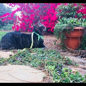 Thanks for stopping by!